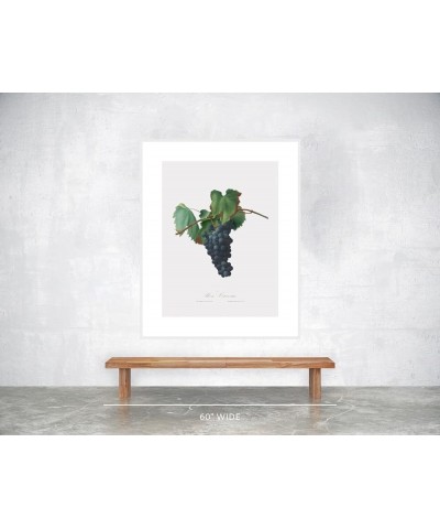 Uva Crovino - Grape White frame 30x40 $64.78 Designer