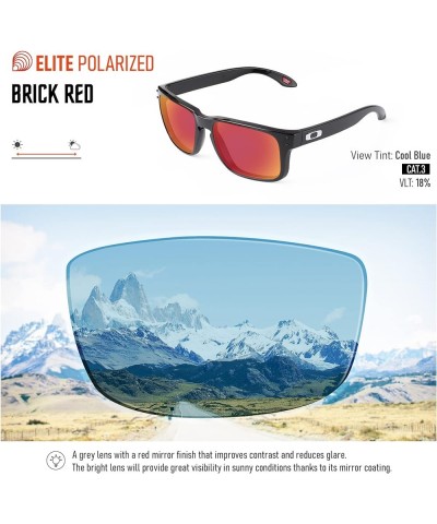 Polycarbonate Replacement Lenses for Oakley Minute 2.0 Sunglasses - Enhanced POLARIZED Brick Red - Pc Polarized $16.52 Designer