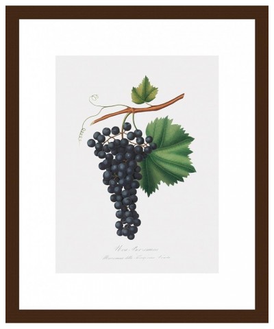 Uva Berzemina - Grape Walnut frame 9x12 $63.43 Designer