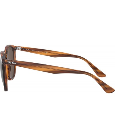 Rb4306 Hexagonal Sunglasses Striped Red Havana/Dark Brown $48.79 Wayfarer