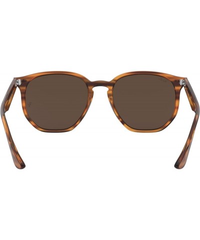 Rb4306 Hexagonal Sunglasses Striped Red Havana/Dark Brown $48.79 Wayfarer