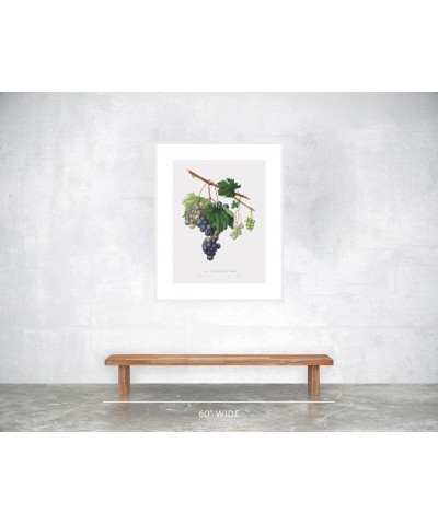 Uva Trifera - Grape from Ischia White frame 24x32 $44.53 Designer