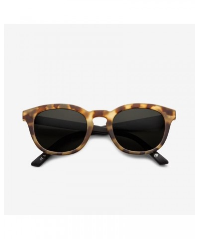 Eyewear - Bellevue Tort Black Tort Black $33.82 Wayfarer