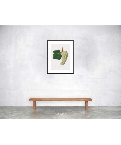 Uva Albarola Genovese - White Grape Black frame 18x24 $112.18 Rectangular