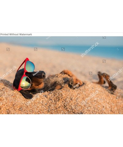 Wall Art Poster Print of Beautiful Dog of Dachshund, Black and Tan, Buried in The Sand at The Beach Sea on Summer Vacation Ho...