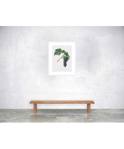 Uva Aleatico - Black Aleatico Grape White frame 18x24 $35.98 Designer