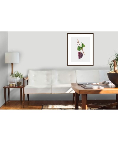 Uva Barbarossa - Grape Barberossa Walnut frame 18x24 $97.00 Rectangular