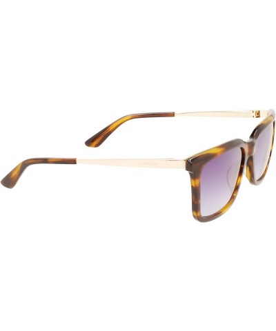 Men's Ck22517s Sunglasses Striped Brown $18.38 Rectangular