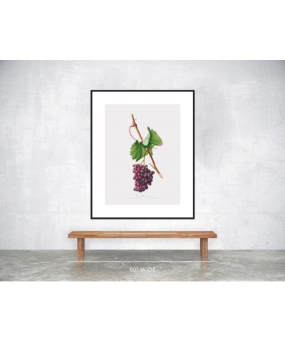 Uva Barbarossa - Grape Barberossa Black frame 30x40 $141.88 Rectangular