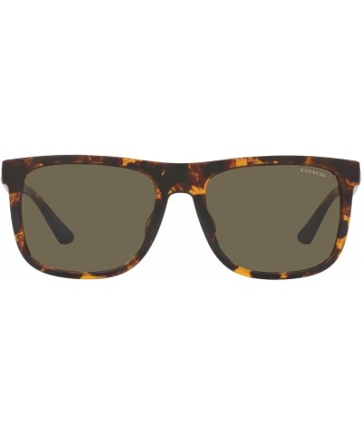 Men's Hc8367u Universal Fit Square Sunglasses Dark Tortoise/Brown Solid $80.96 Square