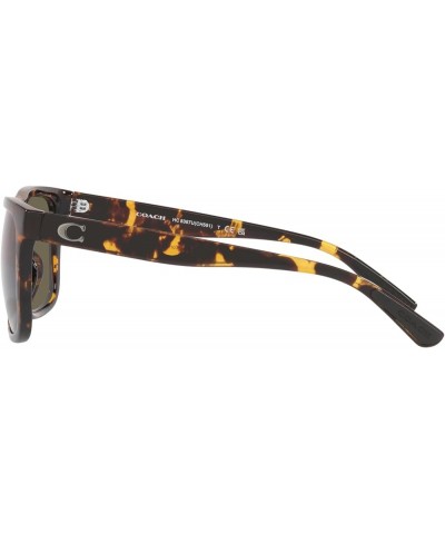 Men's Hc8367u Universal Fit Square Sunglasses Dark Tortoise/Brown Solid $80.96 Square