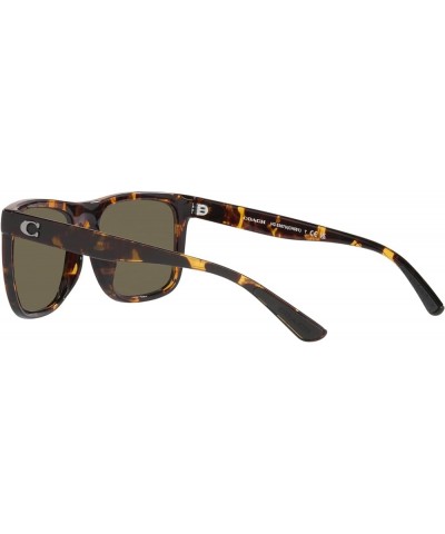 Men's Hc8367u Universal Fit Square Sunglasses Dark Tortoise/Brown Solid $80.96 Square