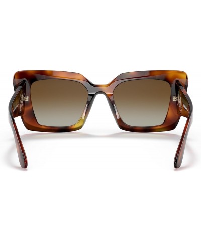 Daisy BE 4344 3316T5 Havana Plastic Square Sunglasses Brown Gradient Polarized Lens $64.40 Square