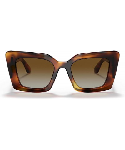 Daisy BE 4344 3316T5 Havana Plastic Square Sunglasses Brown Gradient Polarized Lens $64.40 Square