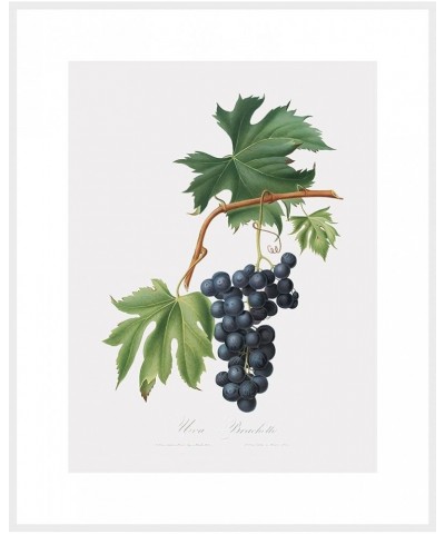 Uva Brachetto - Grape White frame 30x40 $32.38 Designer