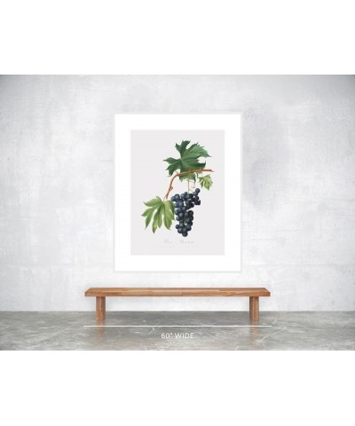 Uva Brachetto - Grape White frame 30x40 $32.38 Designer