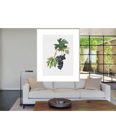 Uva Brachetto - Grape White frame 30x40 $32.38 Designer