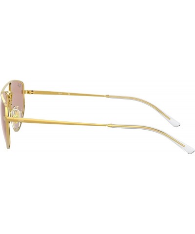 Rb3668 Evolve Photochromic Rectangular Sunglasses Gold/Evolve Photochromic Brown $47.84 Rectangular