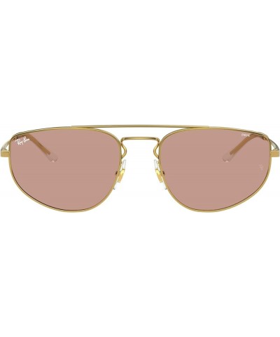 Rb3668 Evolve Photochromic Rectangular Sunglasses Gold/Evolve Photochromic Brown $47.84 Rectangular