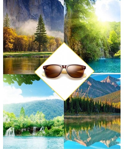 Polarized Bamboo Wood Arms Sunglasses Classic Women Men Driving Glasses Brown Brown $11.26 Square