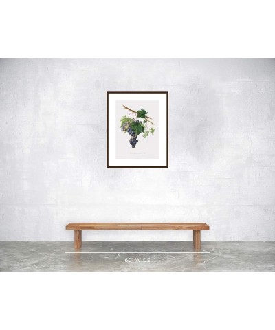 Uva Trifera - Grape from Ischia Walnut frame 18x24 $122.08 Rectangular